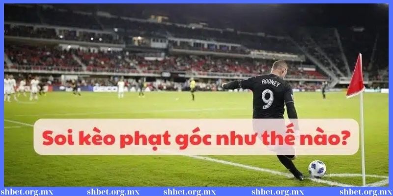Kinh nghiệm soi kèo phạt góc cực chuẩn cho bet thủ